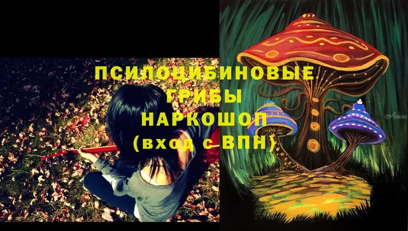 Псилоцибиновые грибы Magic Shrooms  Грязовец 